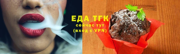молекула духа Заречный