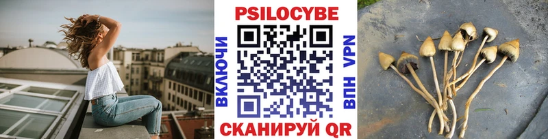 Галлюциногенные грибы Psilocybine cubensis  наркотики  Ейск 