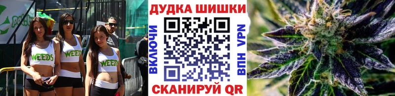 как найти закладки  Ейск  Бошки марихуана планчик 